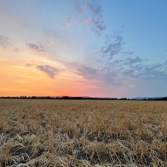 Meet the Posher Other - Meet your Posher, Ada